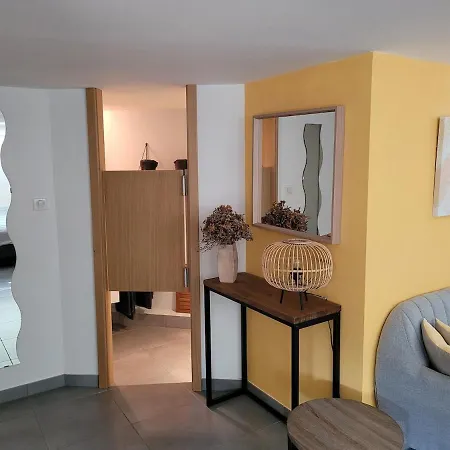 Joli Dans Maison Moderne, Proche De Strasbourg * Weyersheim