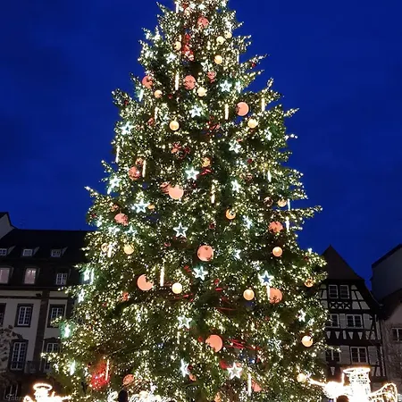 Joli Dans Maison Moderne, Proche De Strasbourg Weyersheim
